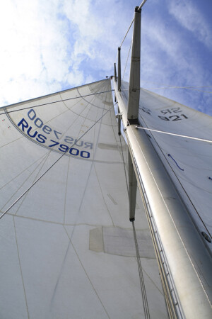 Полны ветра паруса