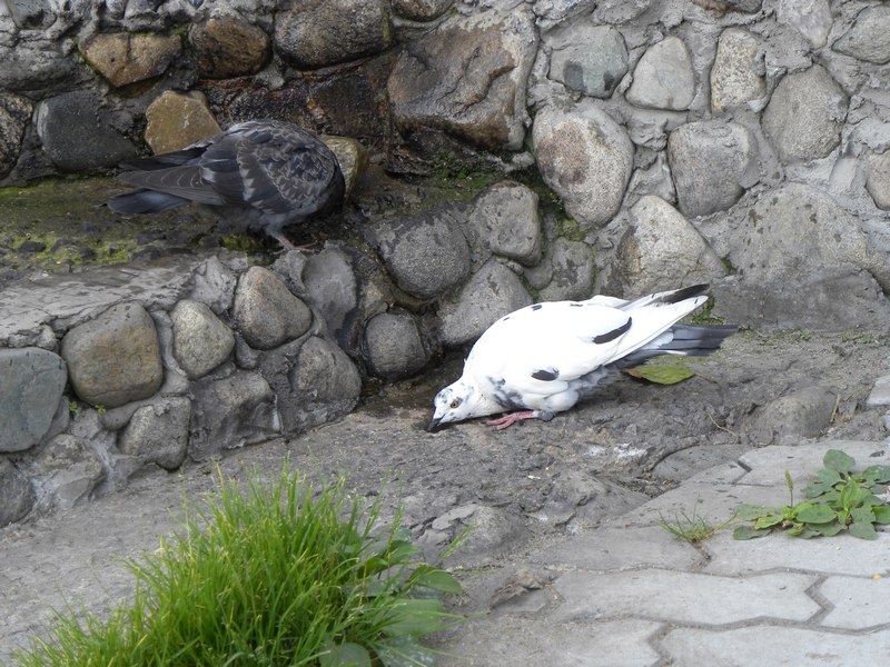 Жара воды бы глоток