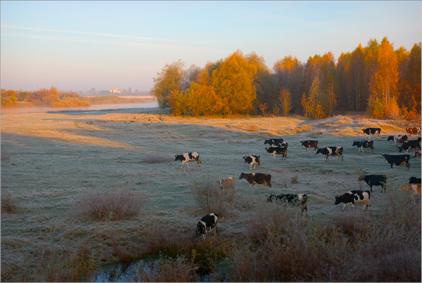 Первые заморозки