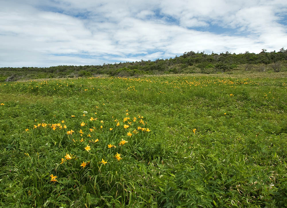 Курилы