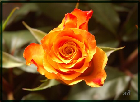 настроение