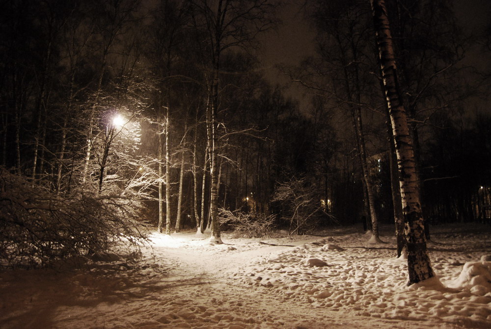 Лесной перекрёсток