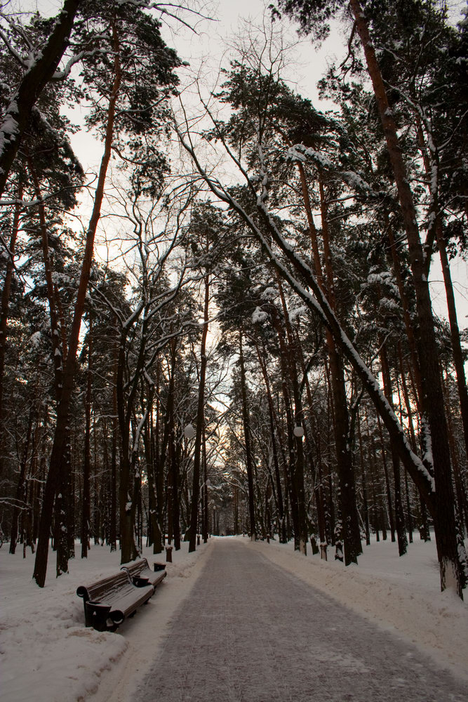 Парк им. Челюскинцев, Минск