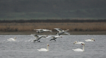 Забег-залет