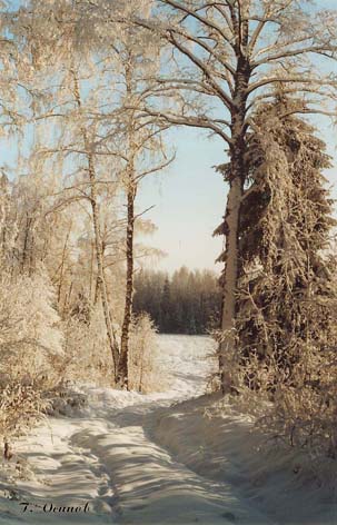 В перелеске. Окрестности Шангалы.