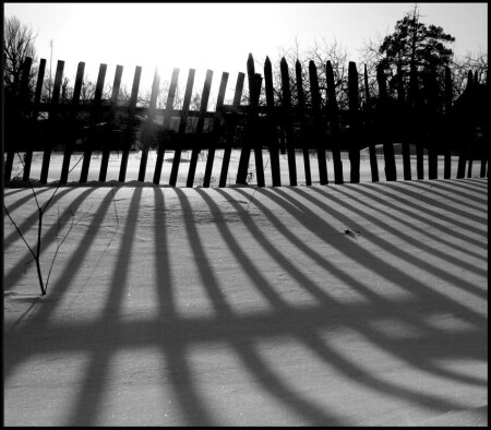 Lines on the snow