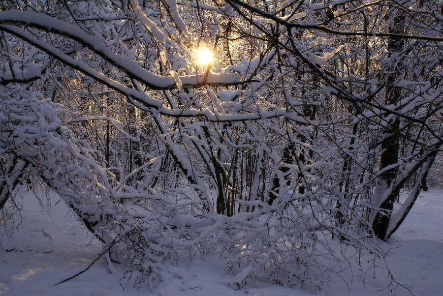 Зимнее солнце