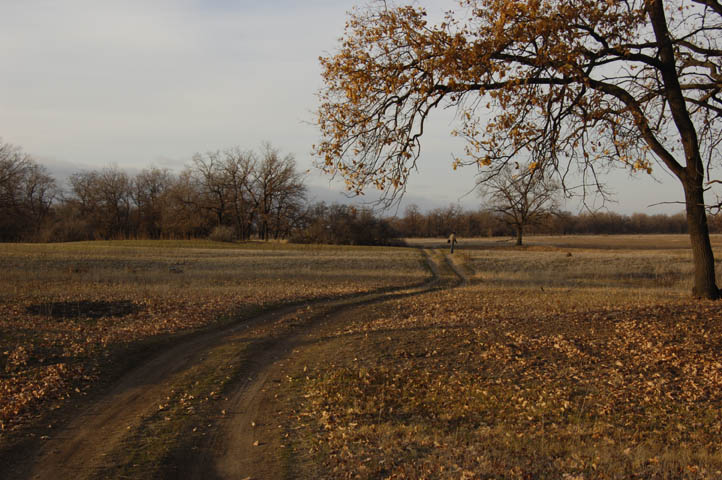 Одинокий путник