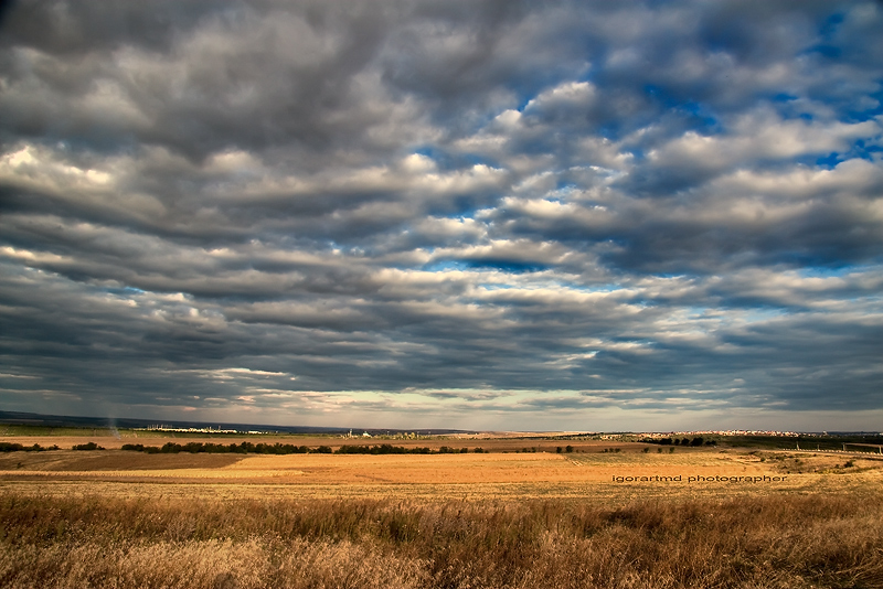 autumn landscape