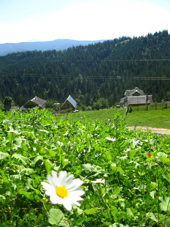 Карпатское село...