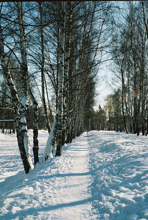 Мороз и солнце