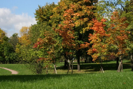 золотая осень