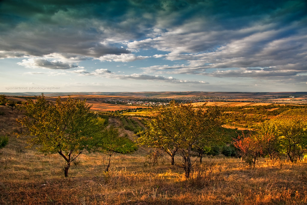 осень золотая