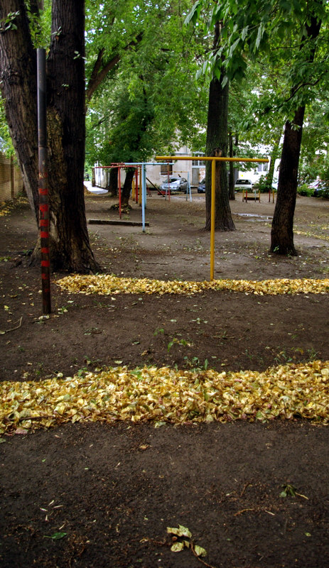 Про городскую желтую ботву