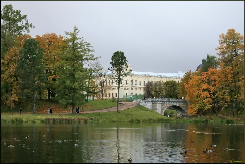 Осенняя феерия в Гатчинском парке - 4