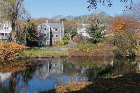 осеннние краски