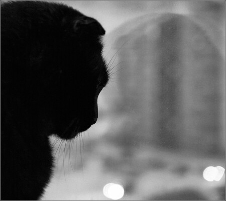 Tombe la neige...