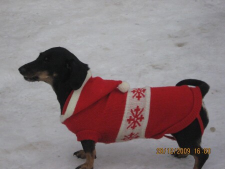 Вот ты какой- Дед Мороз