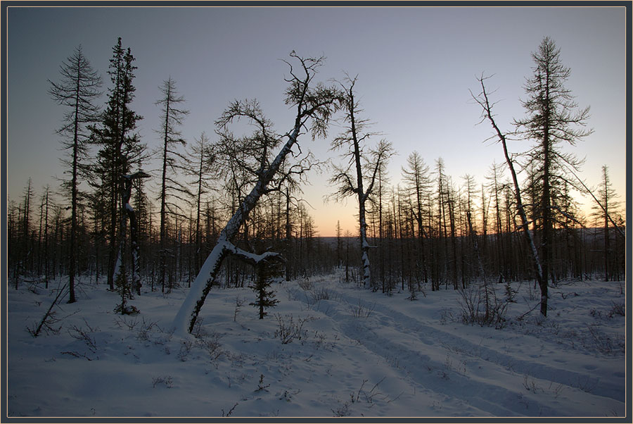 Полдень короткого дня