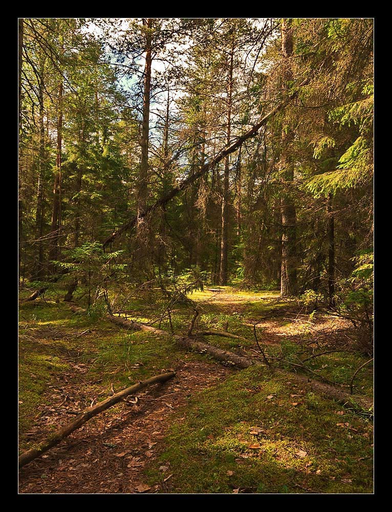 Там на неведомых дорожках