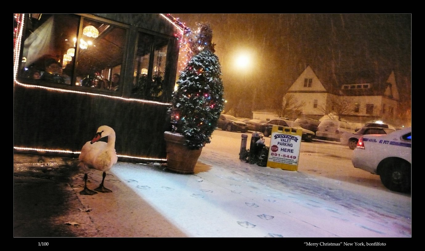 &quot;MERRY CHRISTMAS&quot; NEW YORK