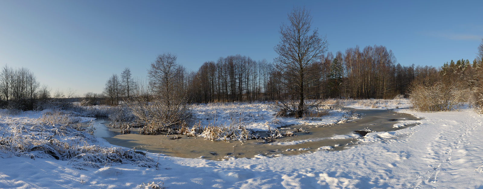 Зимняя панорама