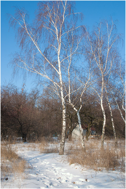 в парке