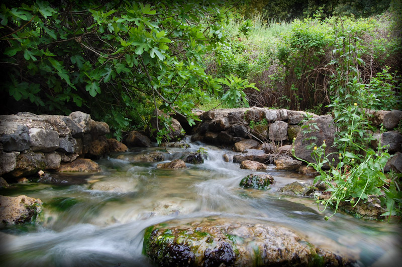 Flow of nature