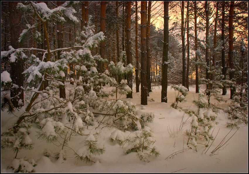 С наступающим 2010