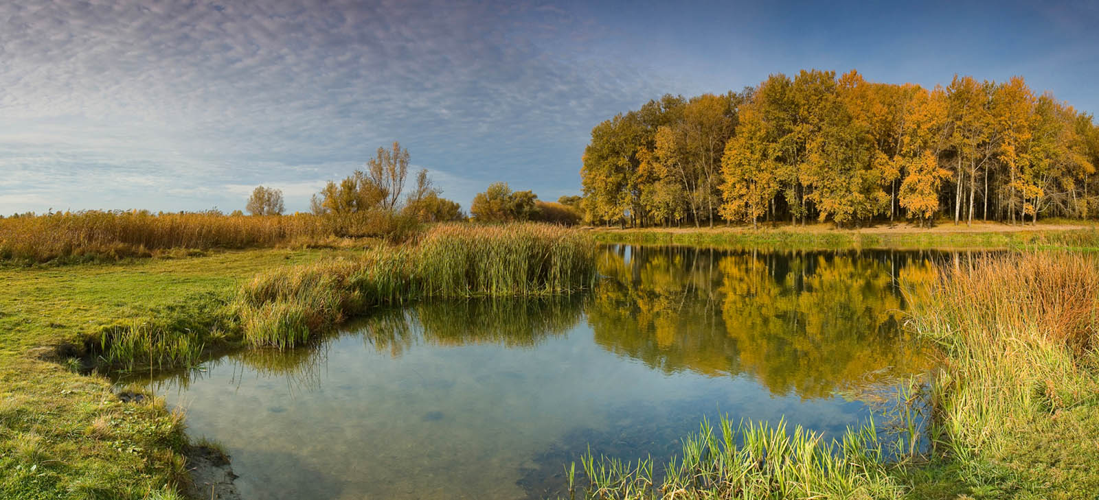 Северский Донец. Осень.