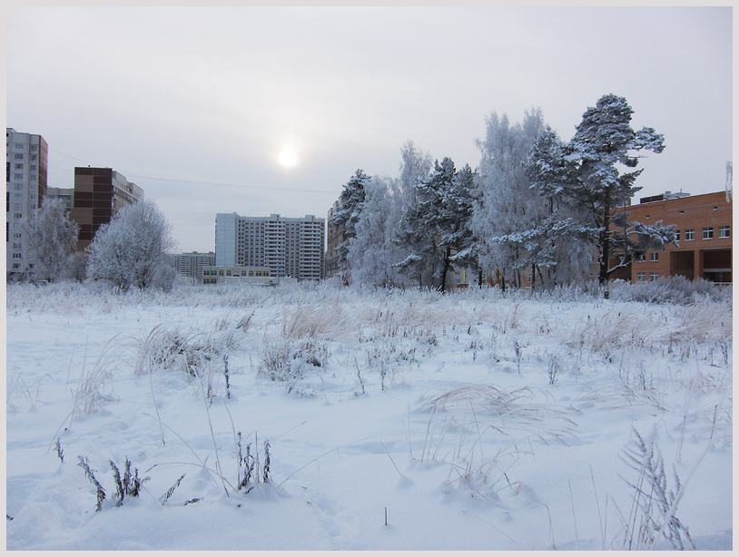 зима в городе