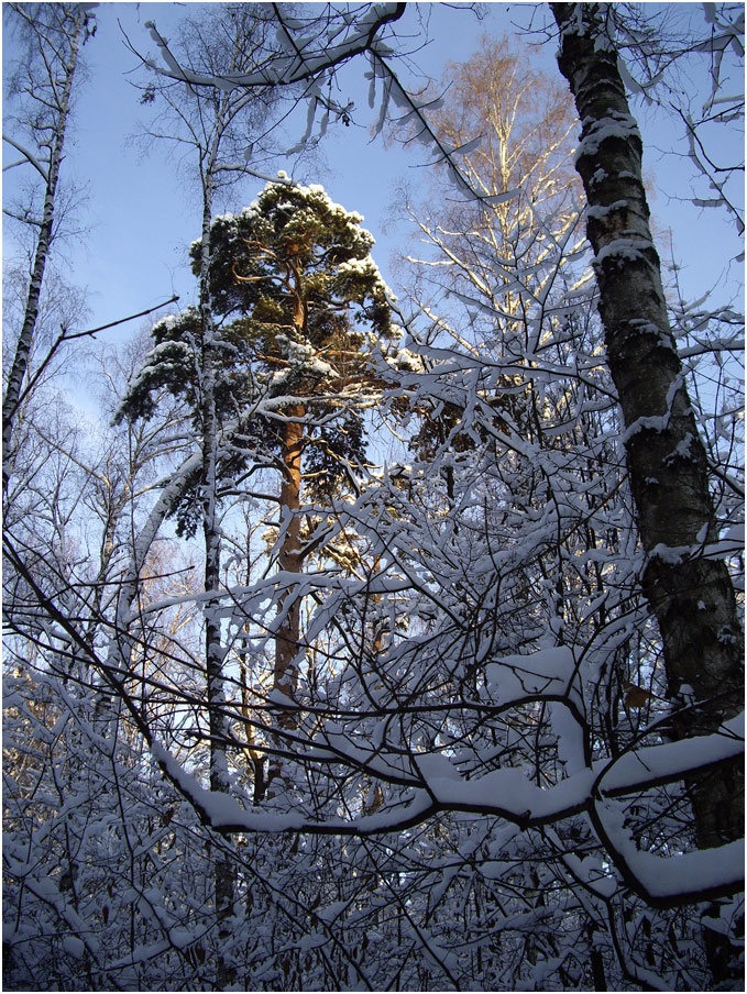 Чудесное 1 января 2010 года