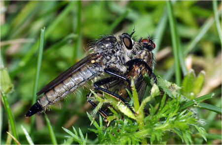 Сладенькая, ты моя