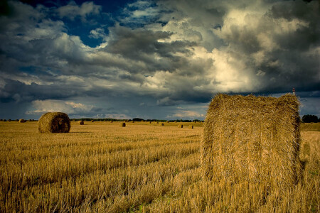 на пороге осень