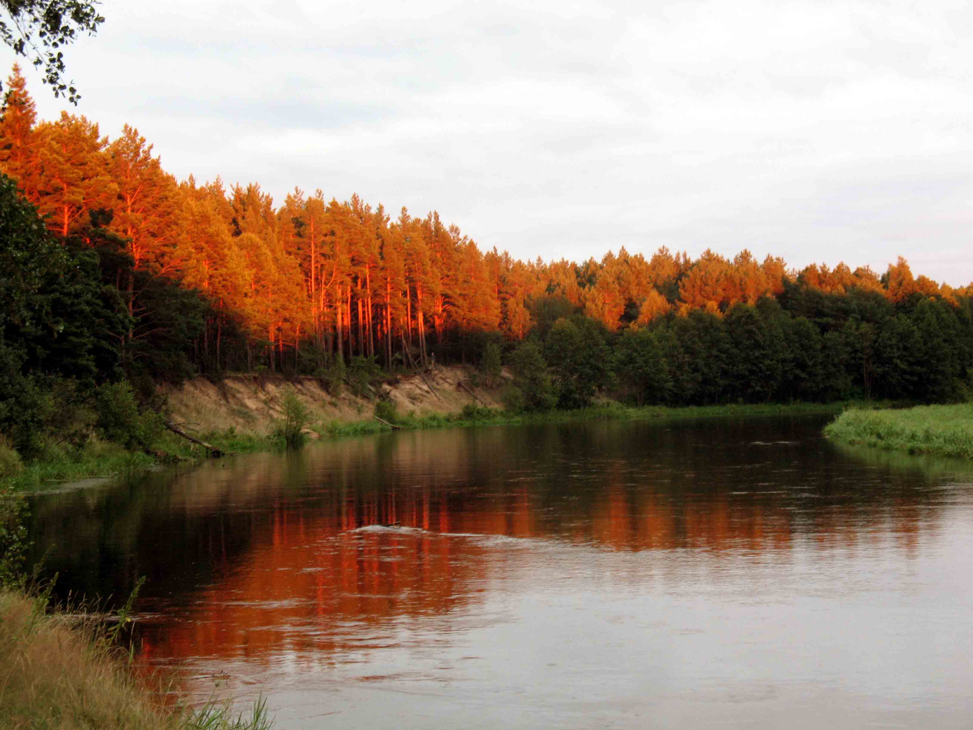 Реки Беларуси