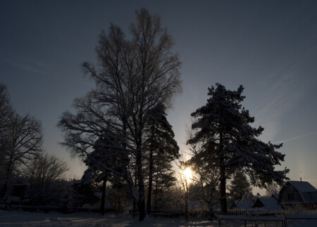 Новогодние выходные 2010