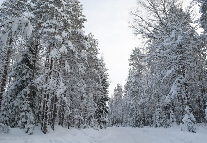 Новогодние выходные 2010