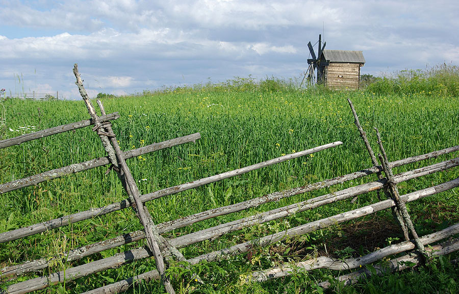 Плетень