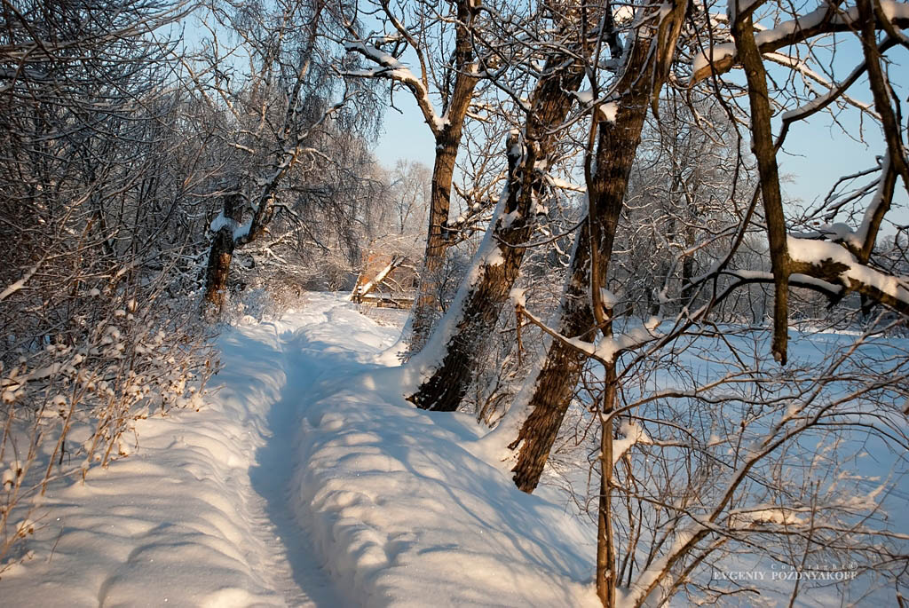 По заснеженным тропинкам