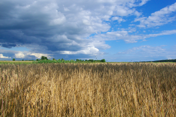 &quot;Украинская&quot; природа