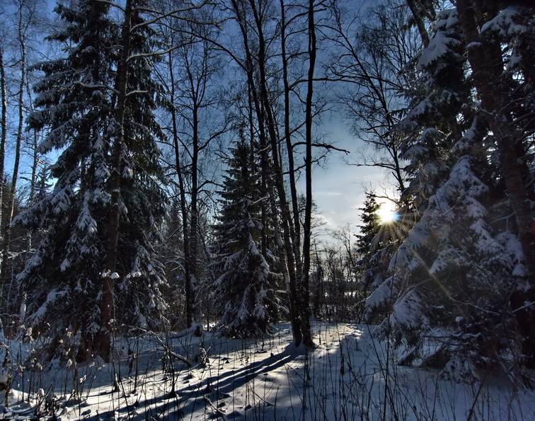 Пронзенные солнцем