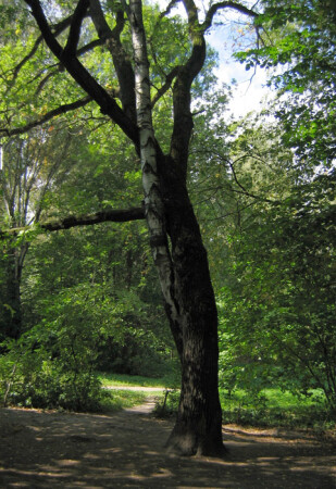 &amp;quot;Он и она&amp;quot;