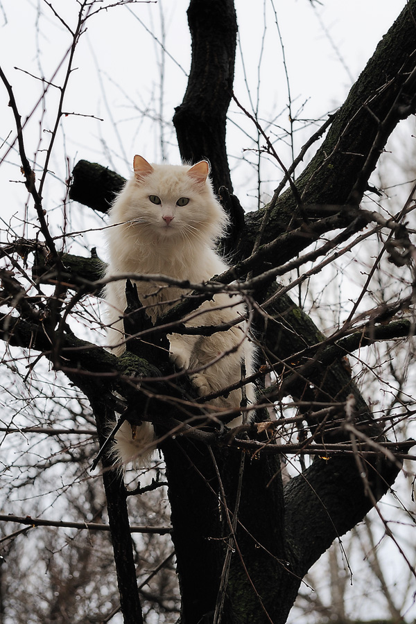 Гнездо...