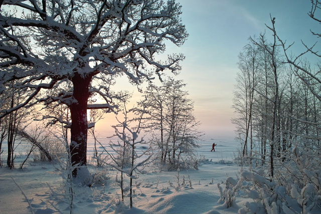 Лыжная прогулка