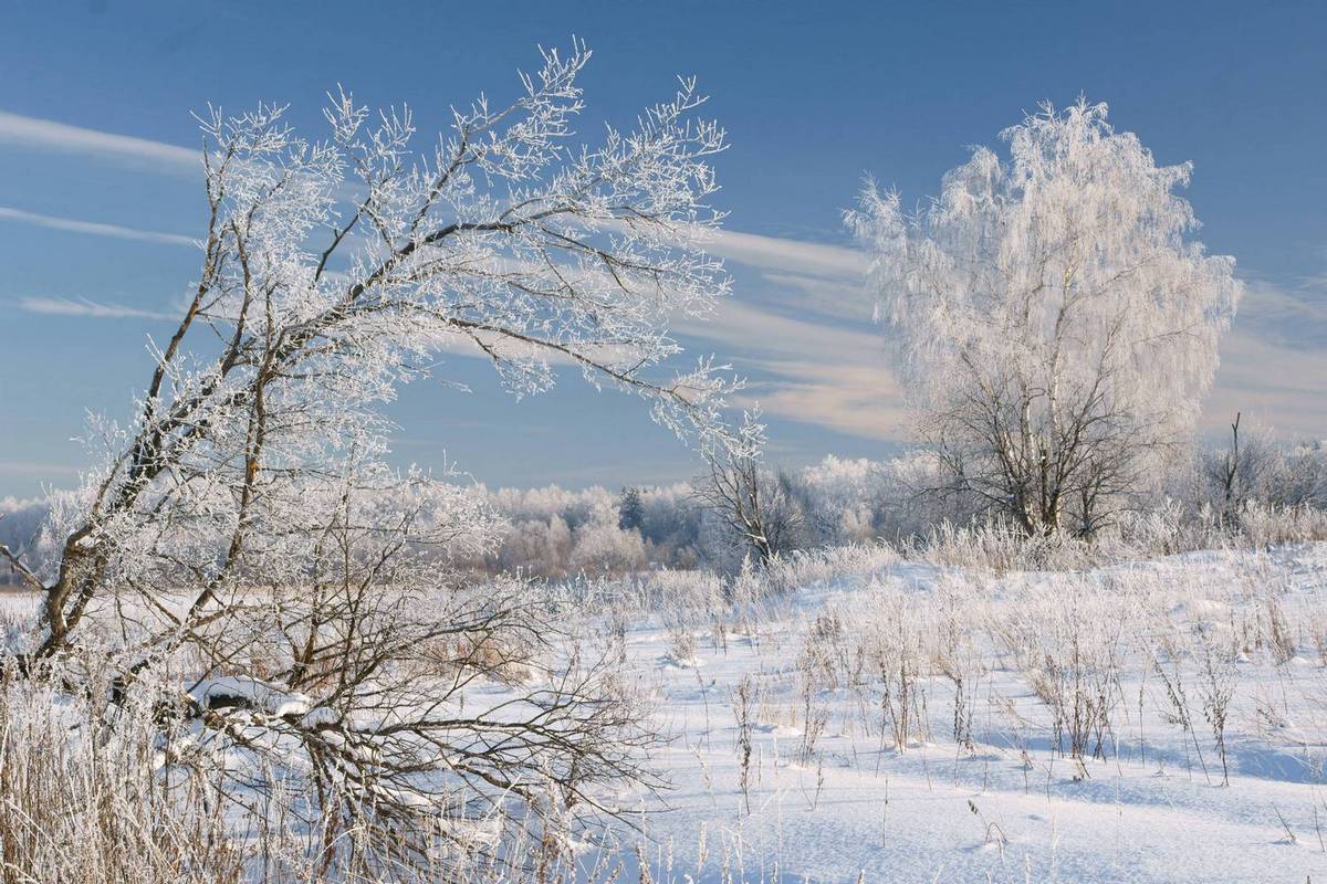 Зимнии зарисовки...