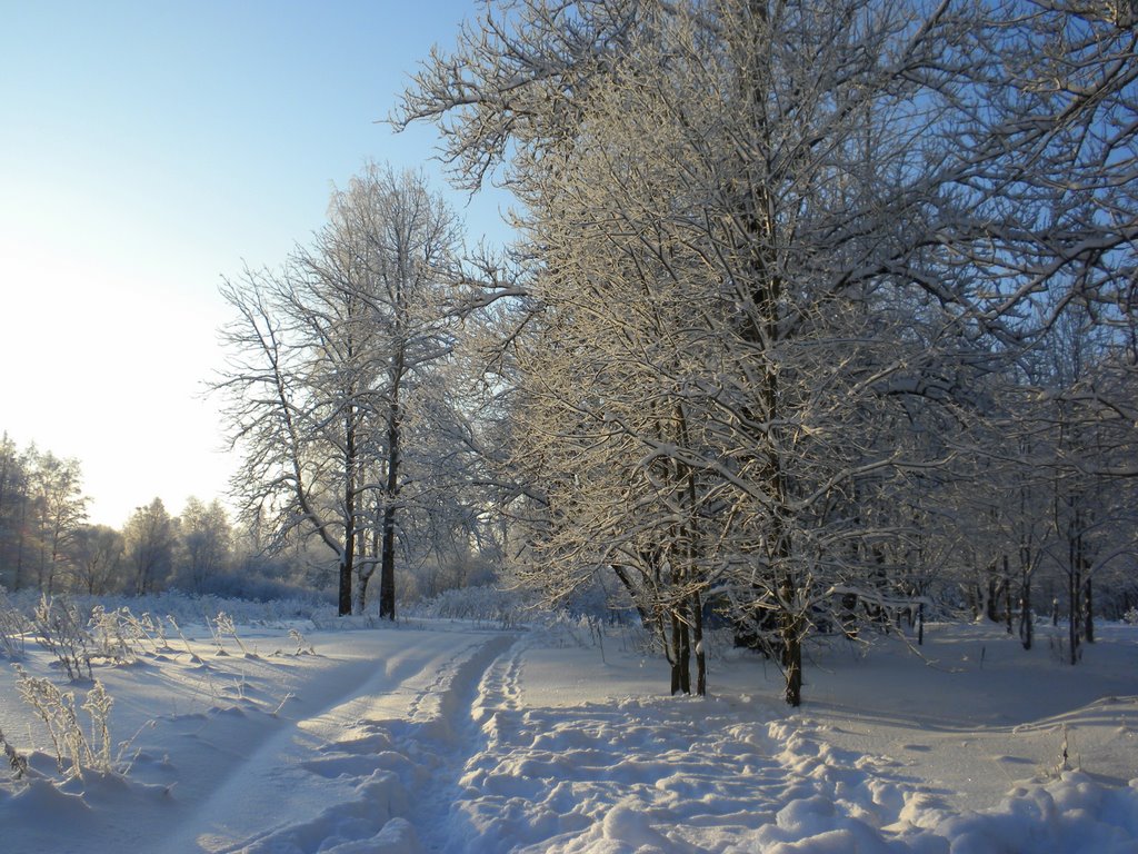 Морозный зимний день