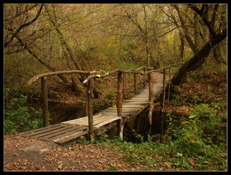 В осеннем лесу