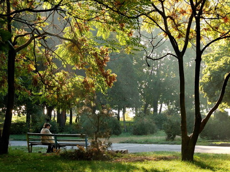 Утро в городском парке