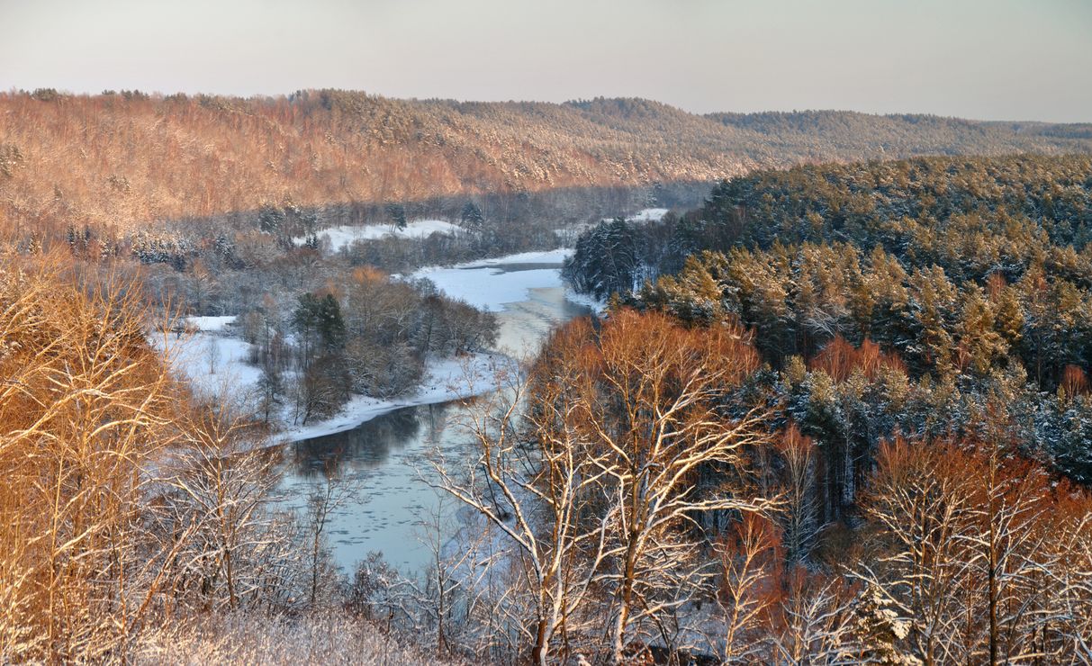 Зимняя панорама