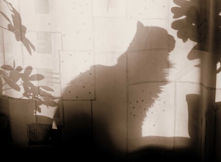 Театр теней